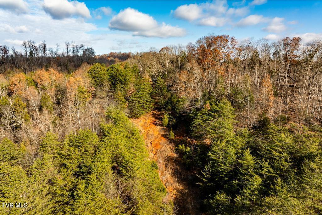 Tbd93Acres Hunting Hill Road, Bluff City, Tennessee image 30