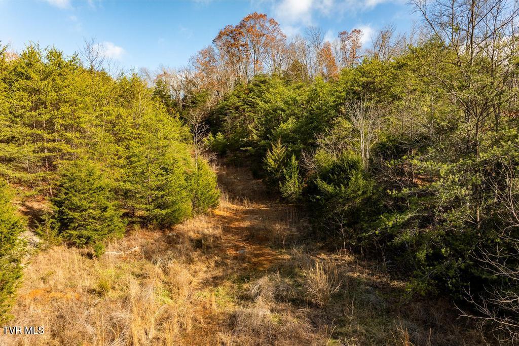 Tbd93Acres Hunting Hill Road, Bluff City, Tennessee image 29