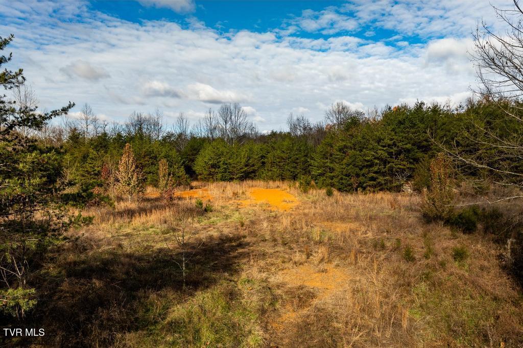 Tbd93Acres Hunting Hill Road, Bluff City, Tennessee image 34