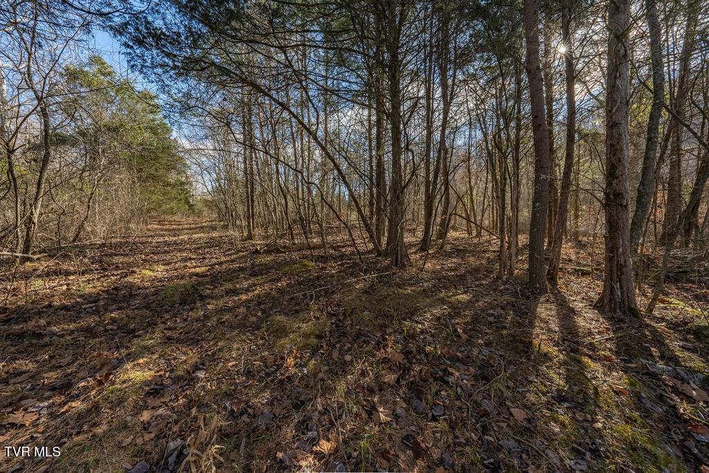 Tbd93Acres Hunting Hill Road, Bluff City, Tennessee image 45