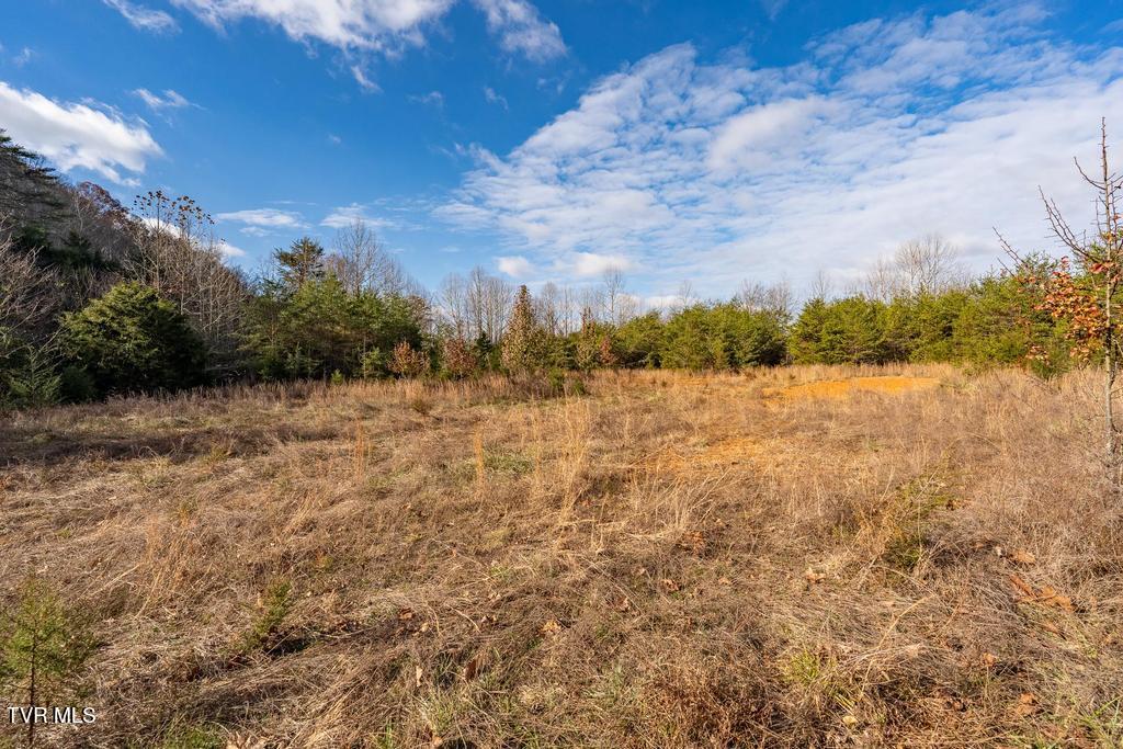 Tbd93Acres Hunting Hill Road, Bluff City, Tennessee image 37