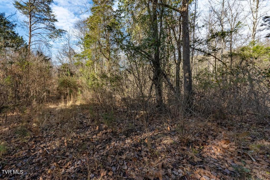 Tbd93Acres Hunting Hill Road, Bluff City, Tennessee image 44