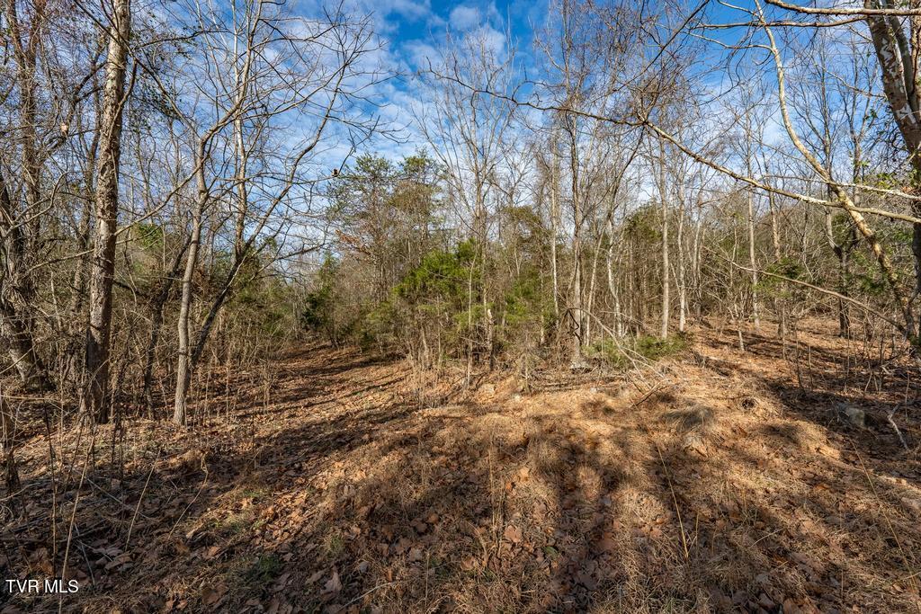 Tbd93Acres Hunting Hill Road, Bluff City, Tennessee image 43