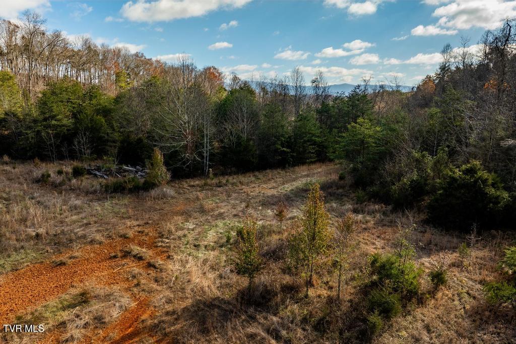 Tbd93Acres Hunting Hill Road, Bluff City, Tennessee image 33