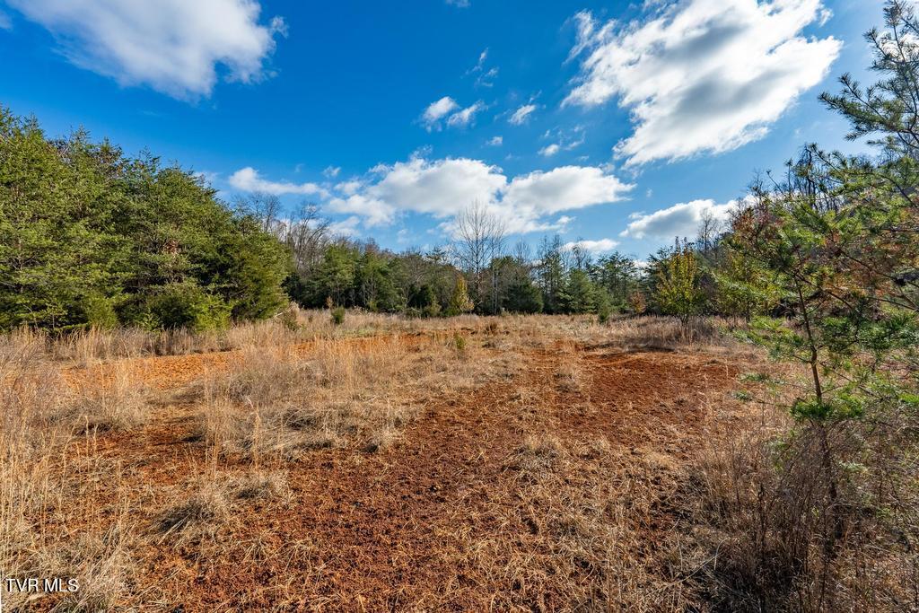 Tbd93Acres Hunting Hill Road, Bluff City, Tennessee image 42