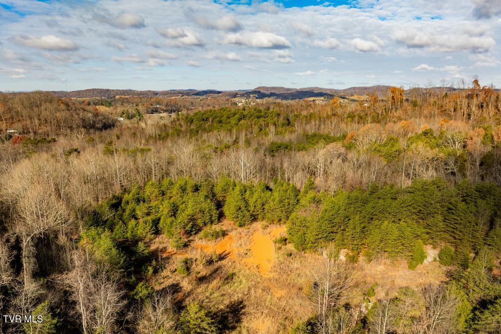 Tbd93Acres Hunting Hill Road, Bluff City, Tennessee image 11