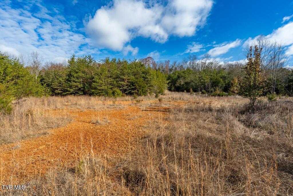 Tbd93Acres Hunting Hill Road, Bluff City, Tennessee image 46