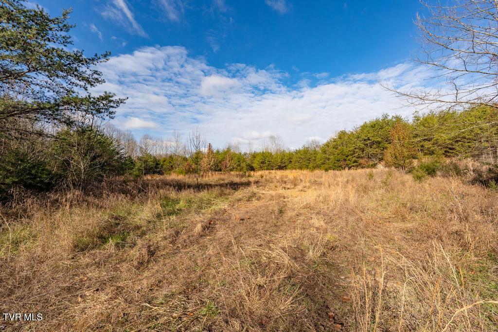 Tbd93Acres Hunting Hill Road, Bluff City, Tennessee image 36