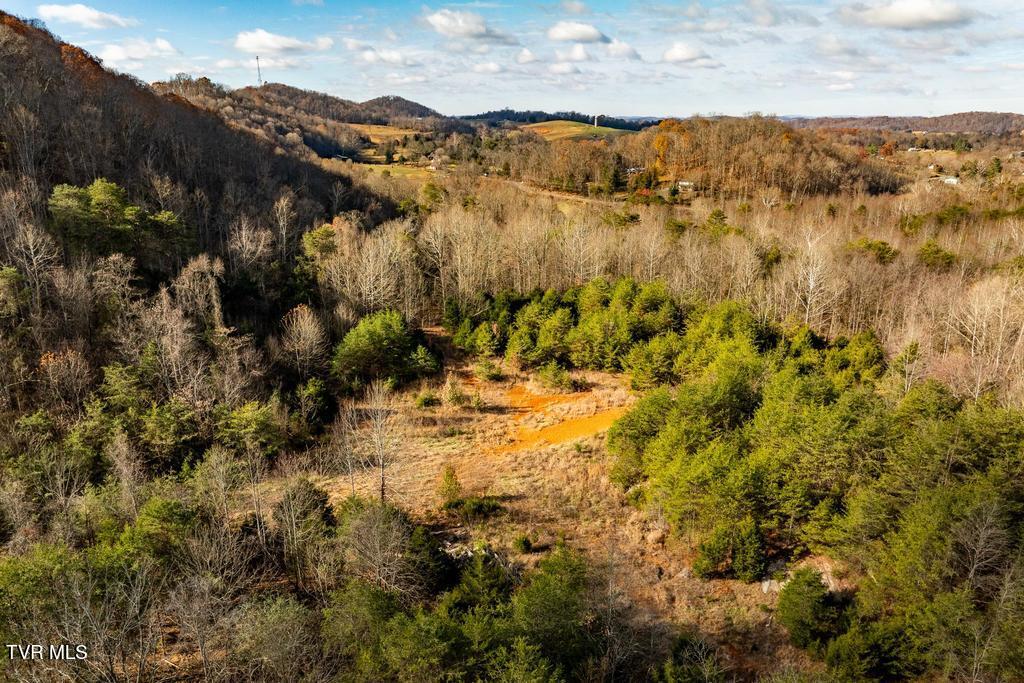 Tbd93Acres Hunting Hill Road, Bluff City, Tennessee image 25