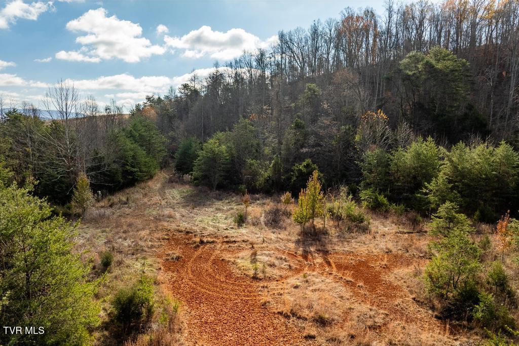 Tbd93Acres Hunting Hill Road, Bluff City, Tennessee image 32