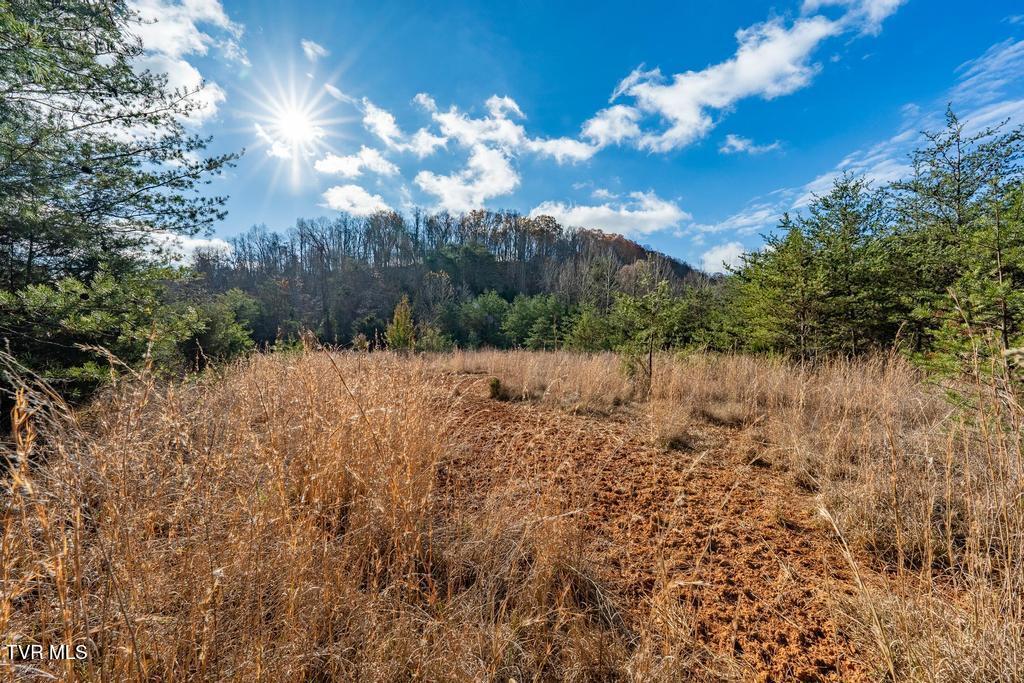 Tbd93Acres Hunting Hill Road, Bluff City, Tennessee image 41