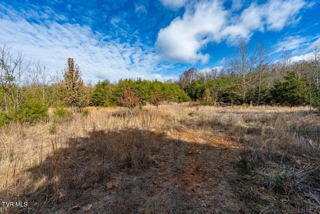 Tbd93Acres Hunting Hill Road, Bluff City, Tennessee image 47