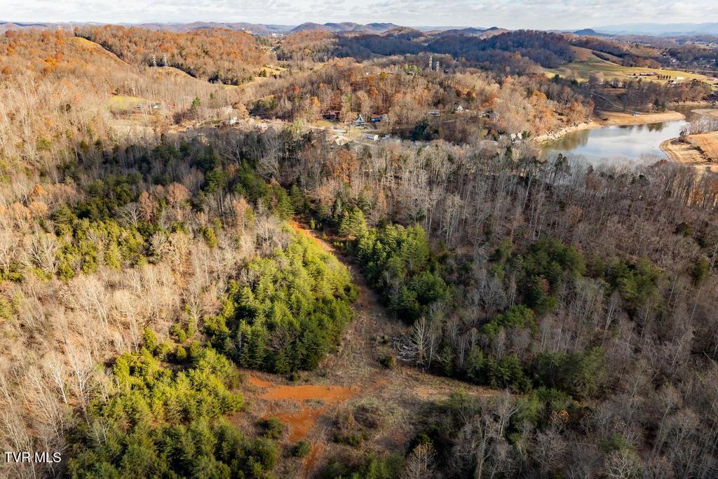 Tbd93Acres Hunting Hill Road, Bluff City, Tennessee image 23