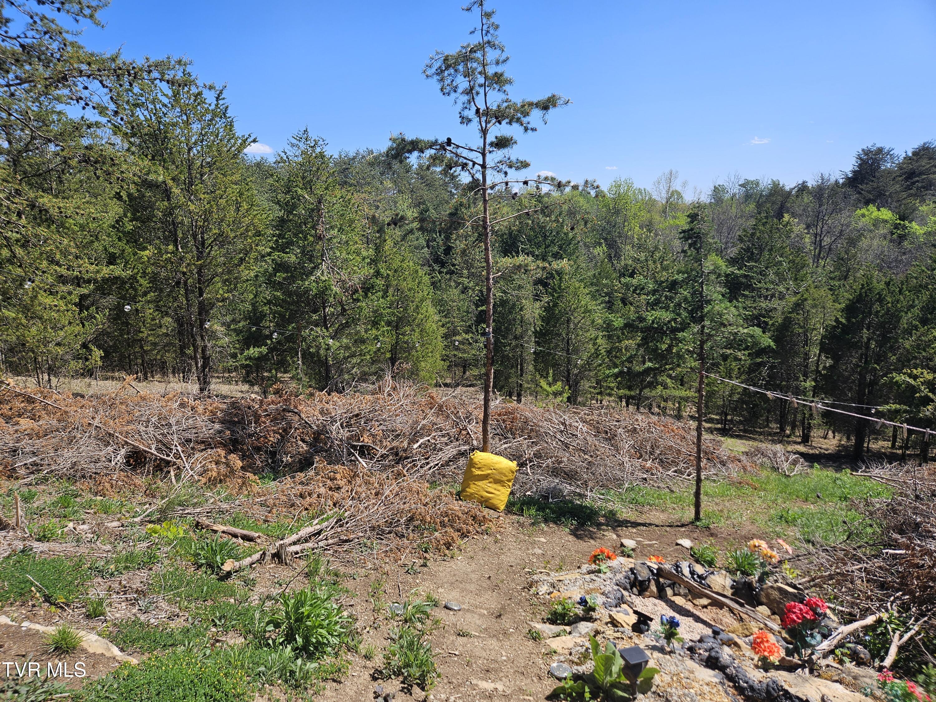 359 Buzzard Roost Rd, Bulls Gap, Tennessee image 6