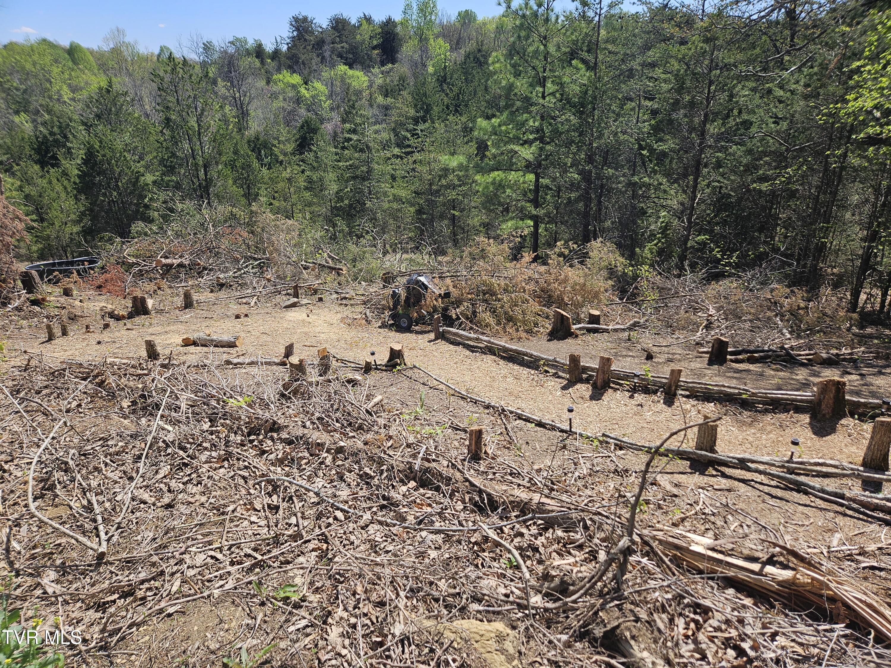 359 Buzzard Roost Rd, Bulls Gap, Tennessee image 7