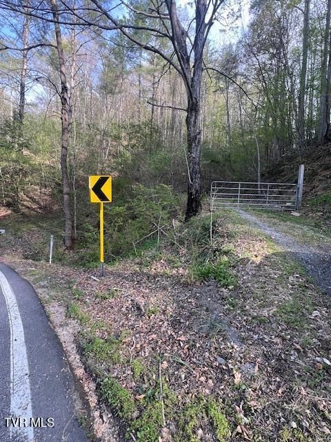 Tbd Spivey Mountain Road Road Erwin TN 37650