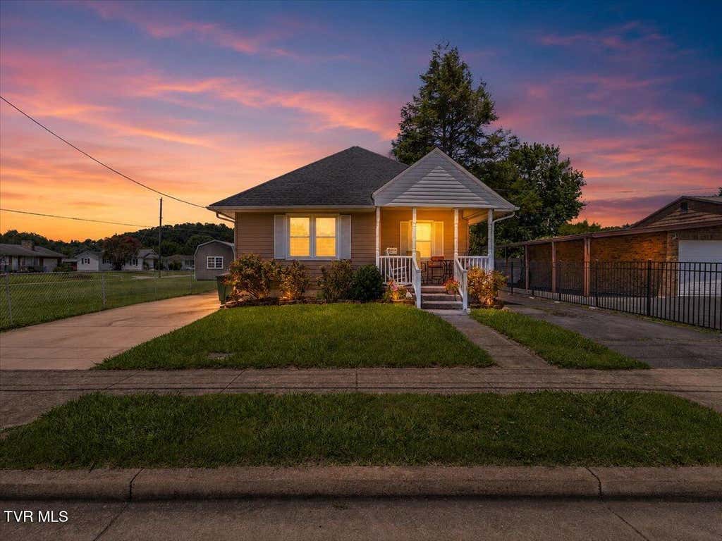 Photo of 311 Mill Street, Elizabethton, TN 37643 (MLS # 9998301)