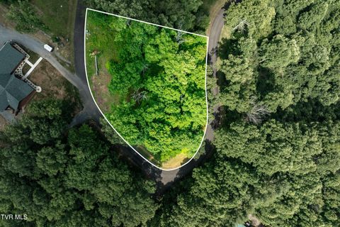 Vacant Land For Sale - LOT 18 Lake Ridge Road<br/> Johnson County, Butler, TN 37640