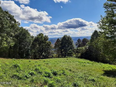 Photo of 4022 Duff Patt Highway, Duffield, VA 24244 (MLS # 9995591)