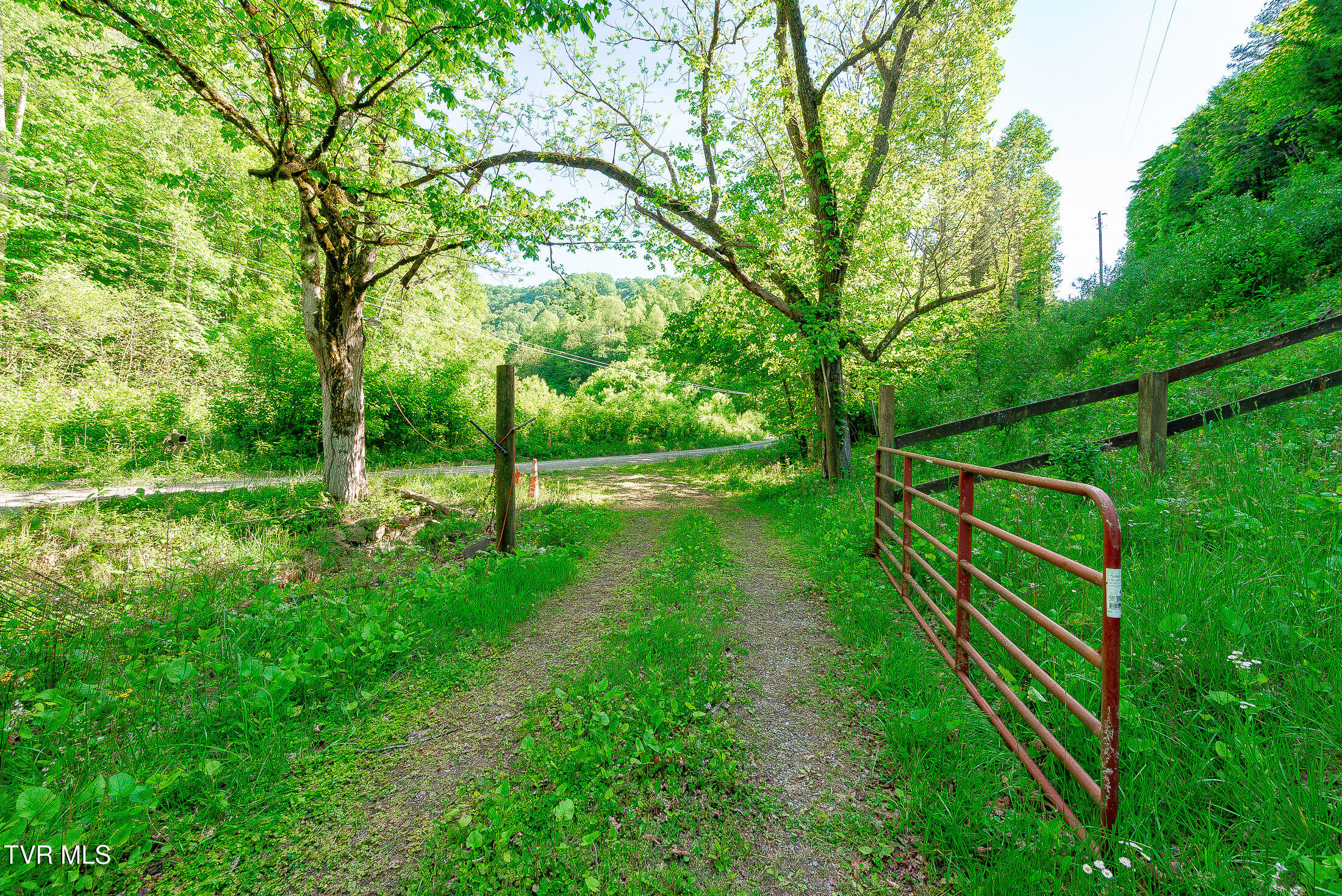 1668 Fowlers Br Road, Hiltons, Virginia image 7