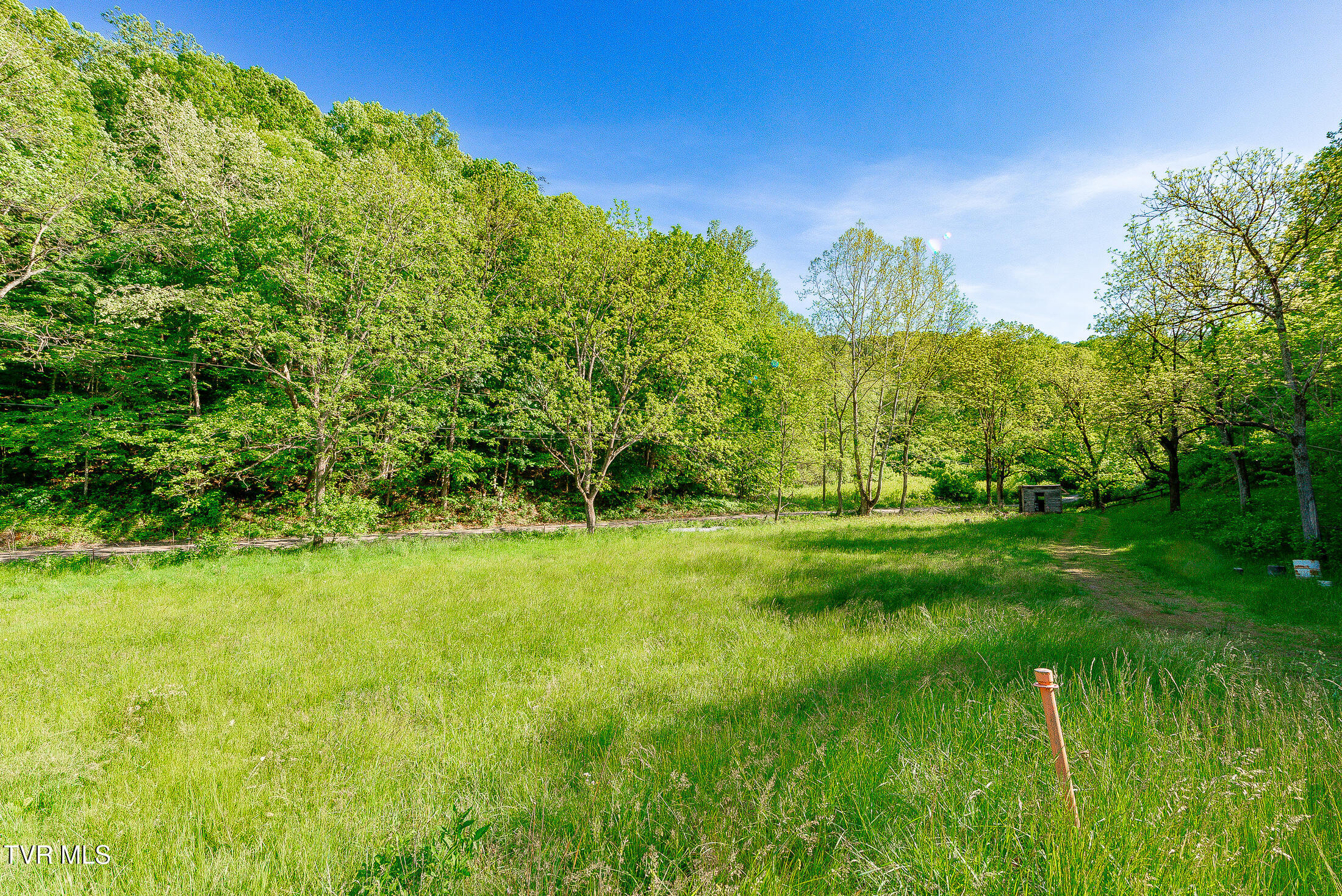 1668 Fowlers Br Road, Hiltons, Virginia image 46