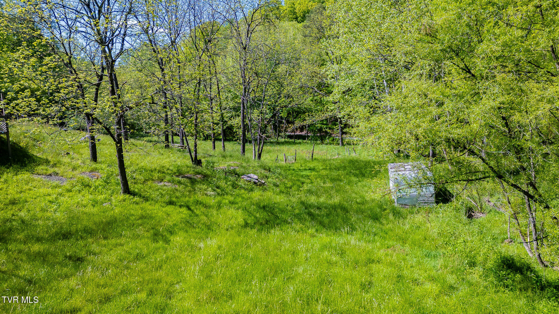 1668 Fowlers Br Road, Hiltons, Virginia image 11
