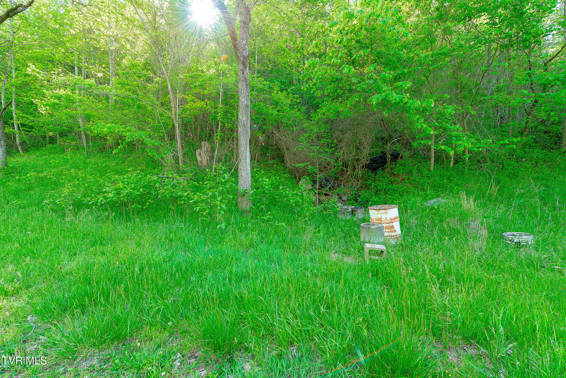 1668 Fowlers Br Road, Hiltons, Virginia image 50