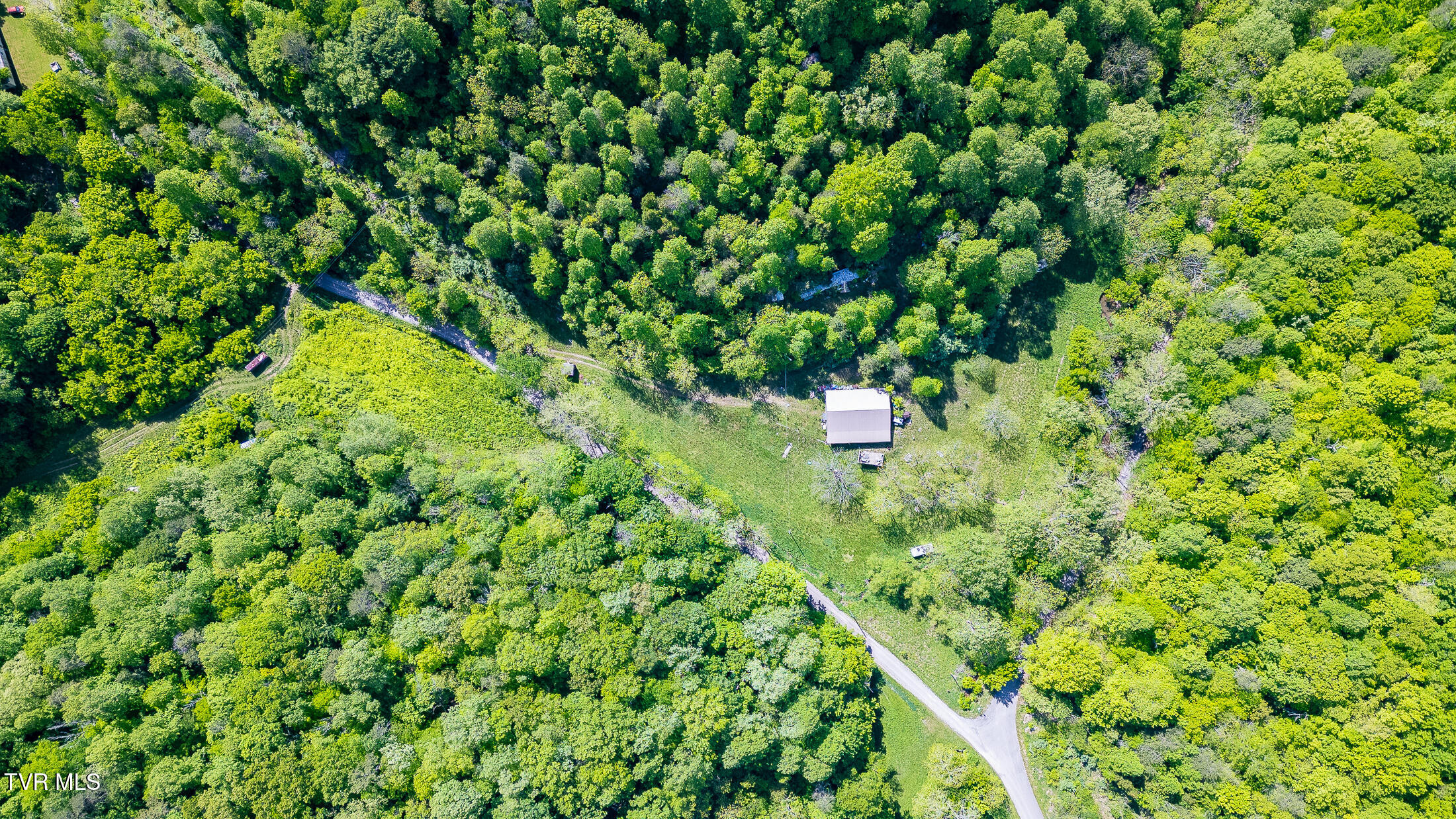 1668 Fowlers Br Road, Hiltons, Virginia image 16
