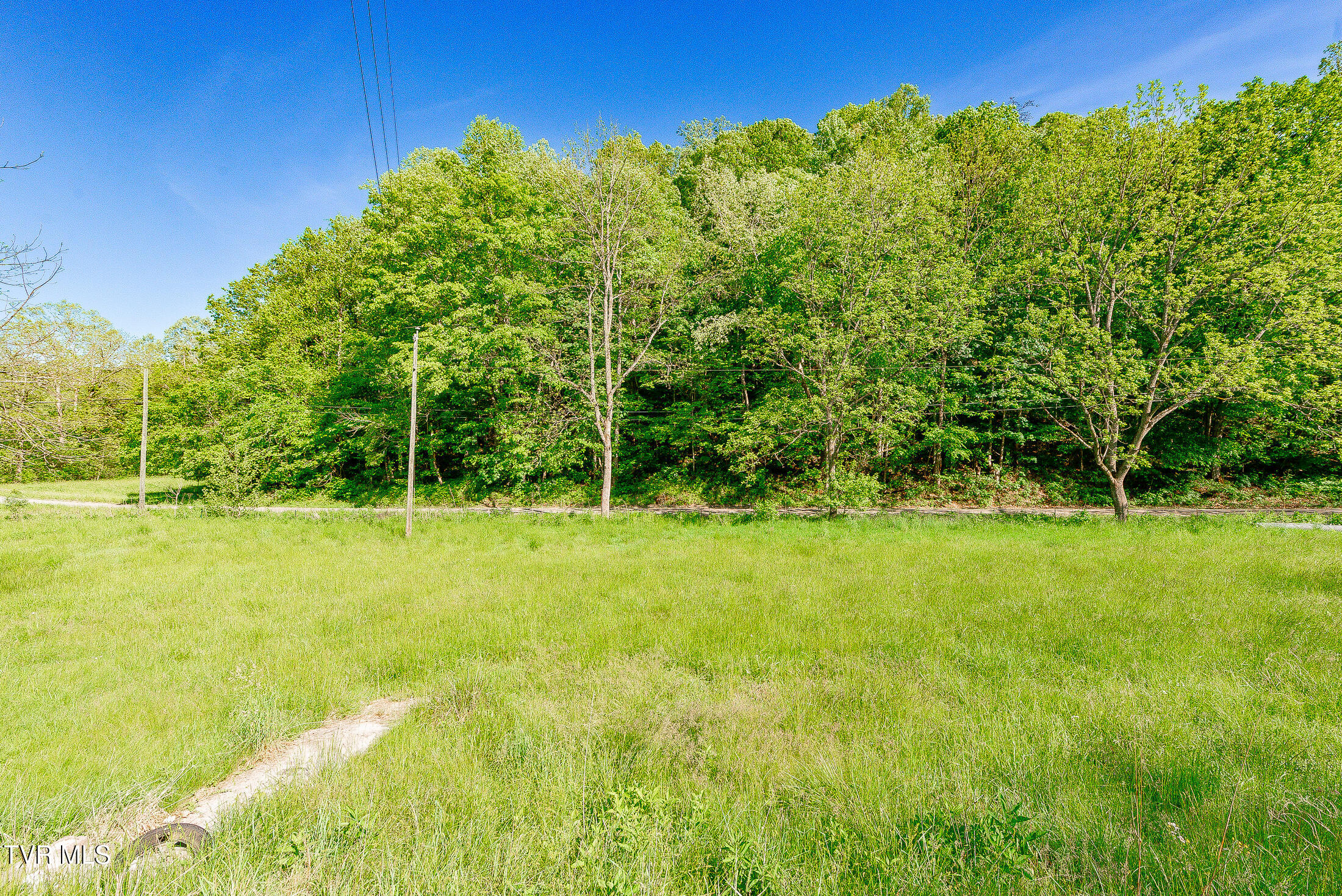 1668 Fowlers Br Road, Hiltons, Virginia image 45