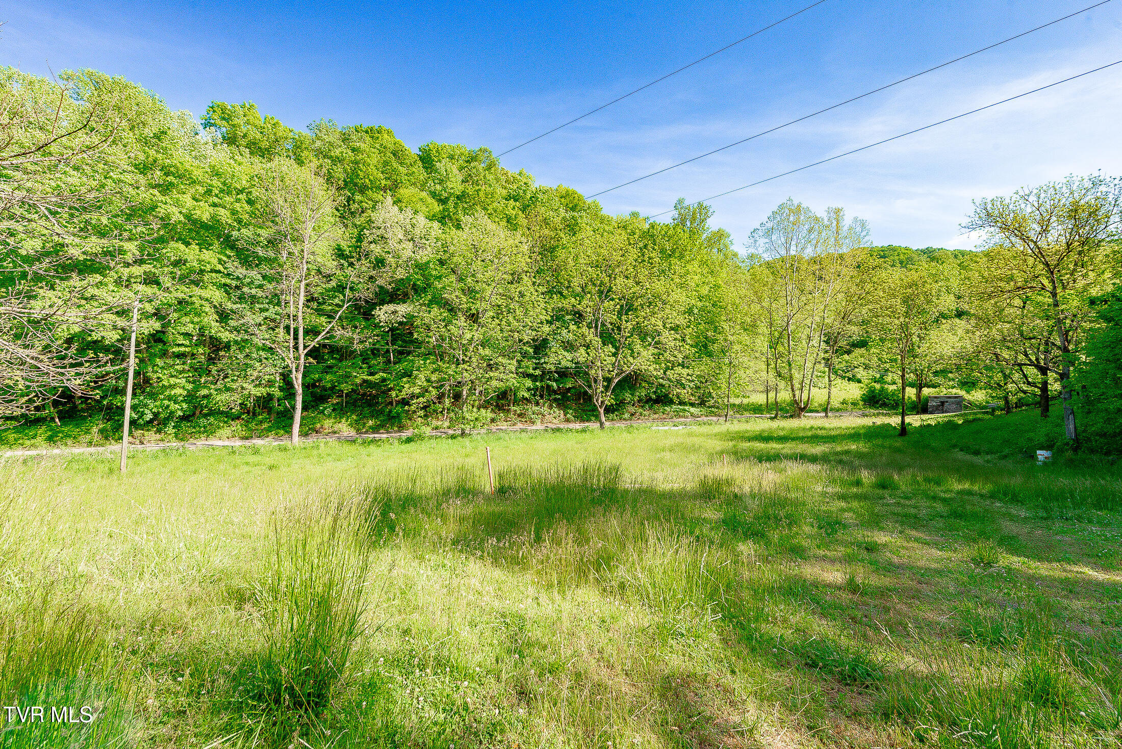 1668 Fowlers Br Road, Hiltons, Virginia image 12