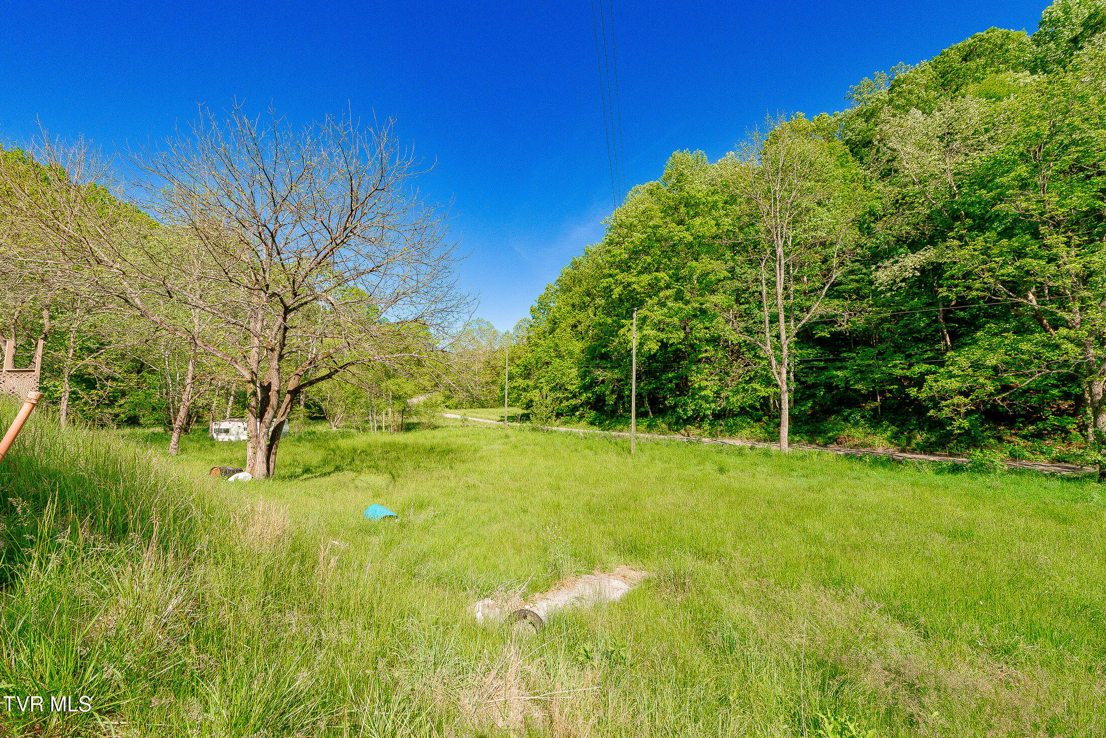 1668 Fowlers Br Road, Hiltons, Virginia image 44
