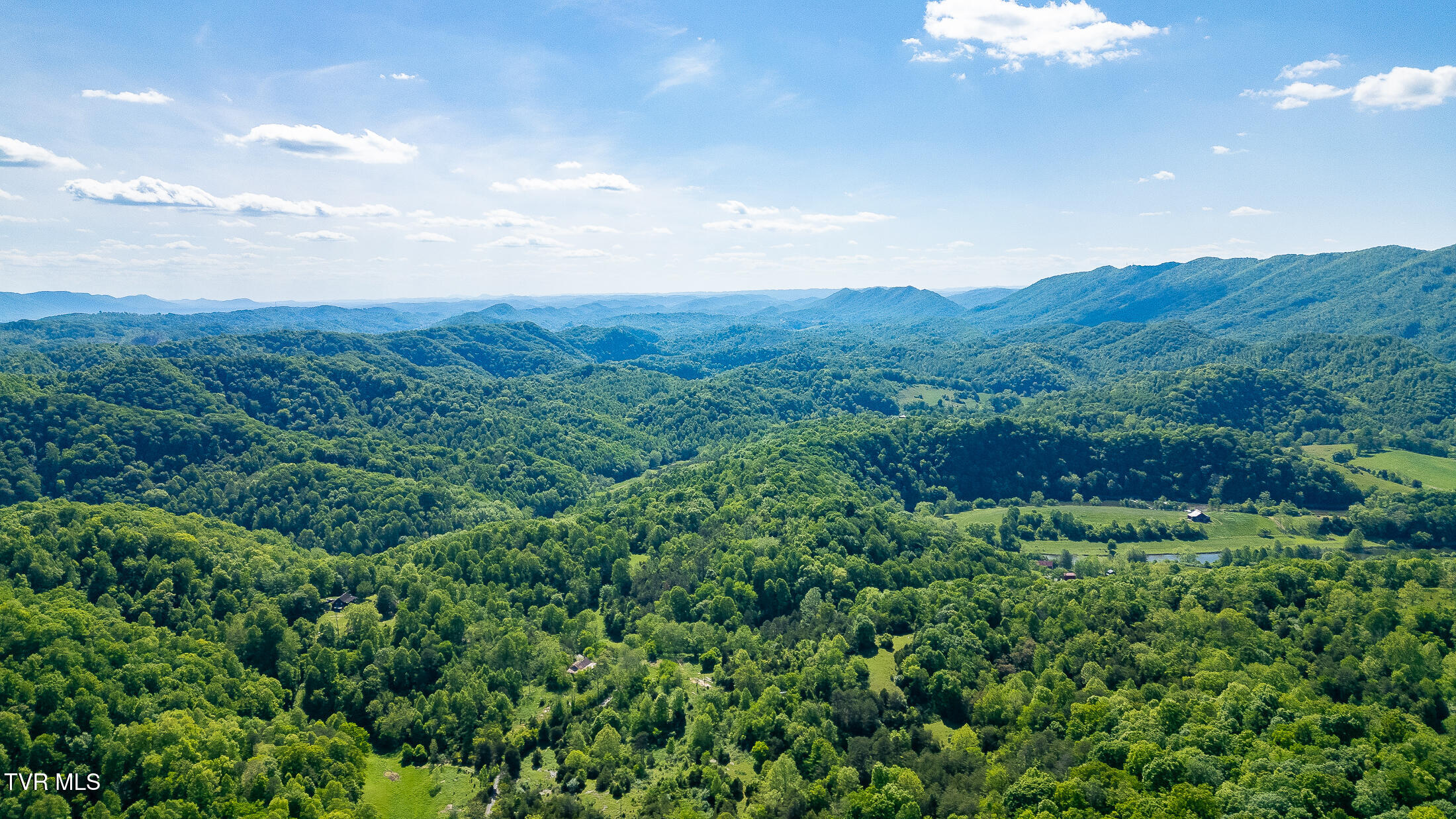 1668 Fowlers Br Road, Hiltons, Virginia image 9