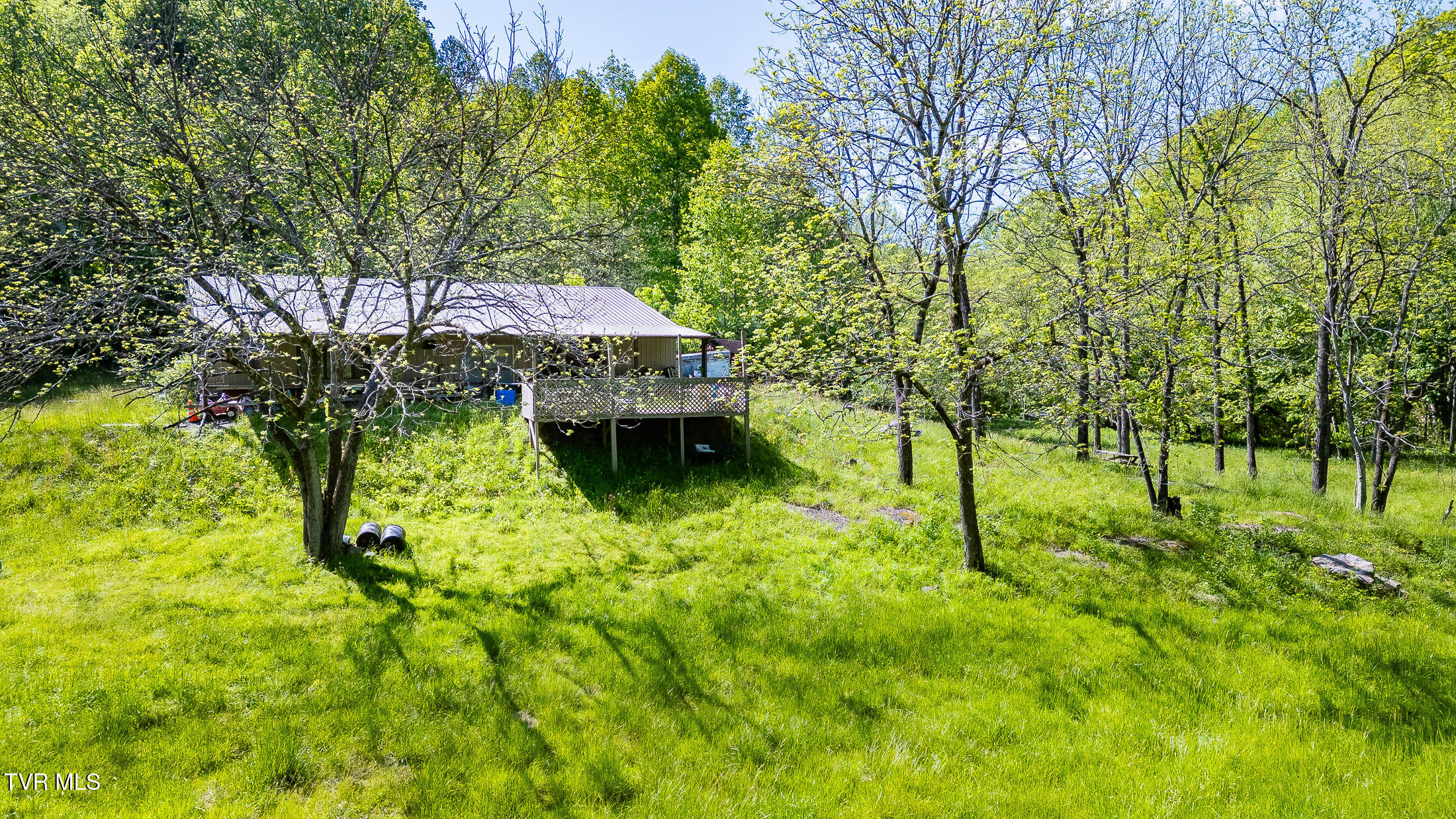 1668 Fowlers Br Road, Hiltons, Virginia image 2