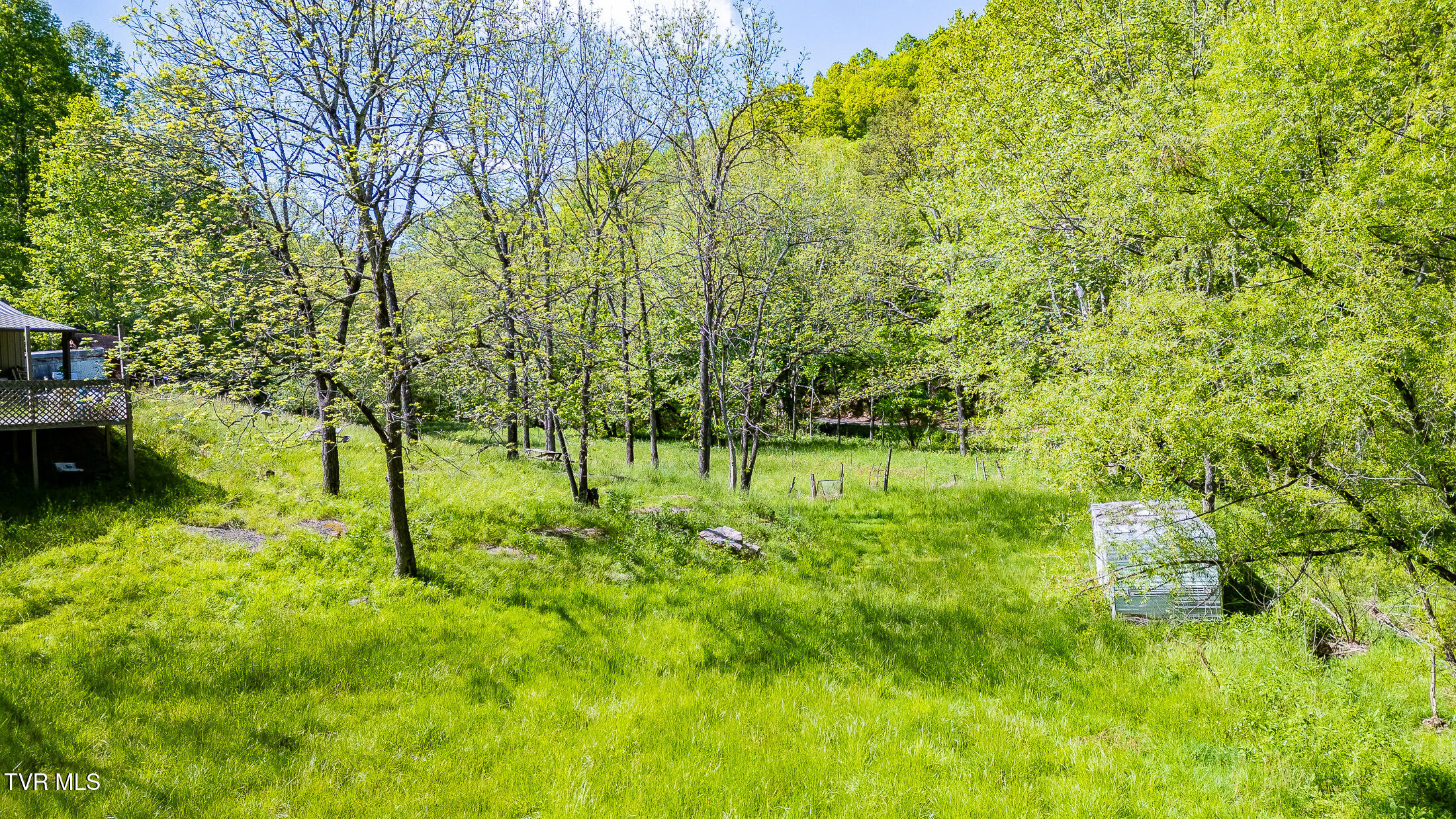 1668 Fowlers Br Road, Hiltons, Virginia image 25