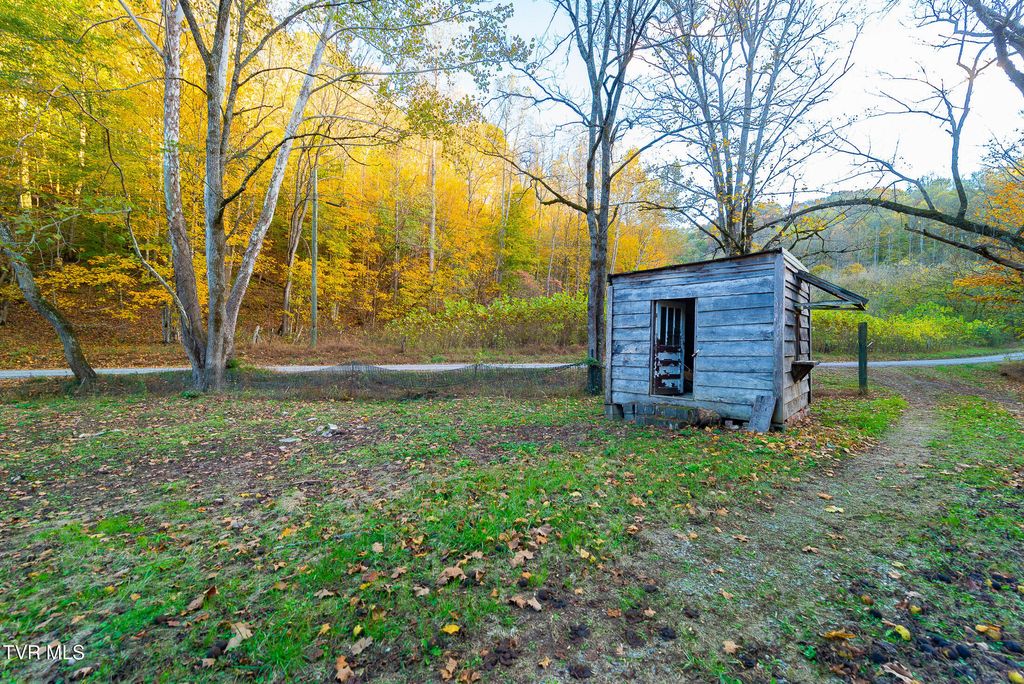 Photo of 1668 Fowlers Br Road, Hiltons, VA 24258 (MLS # 9980079)