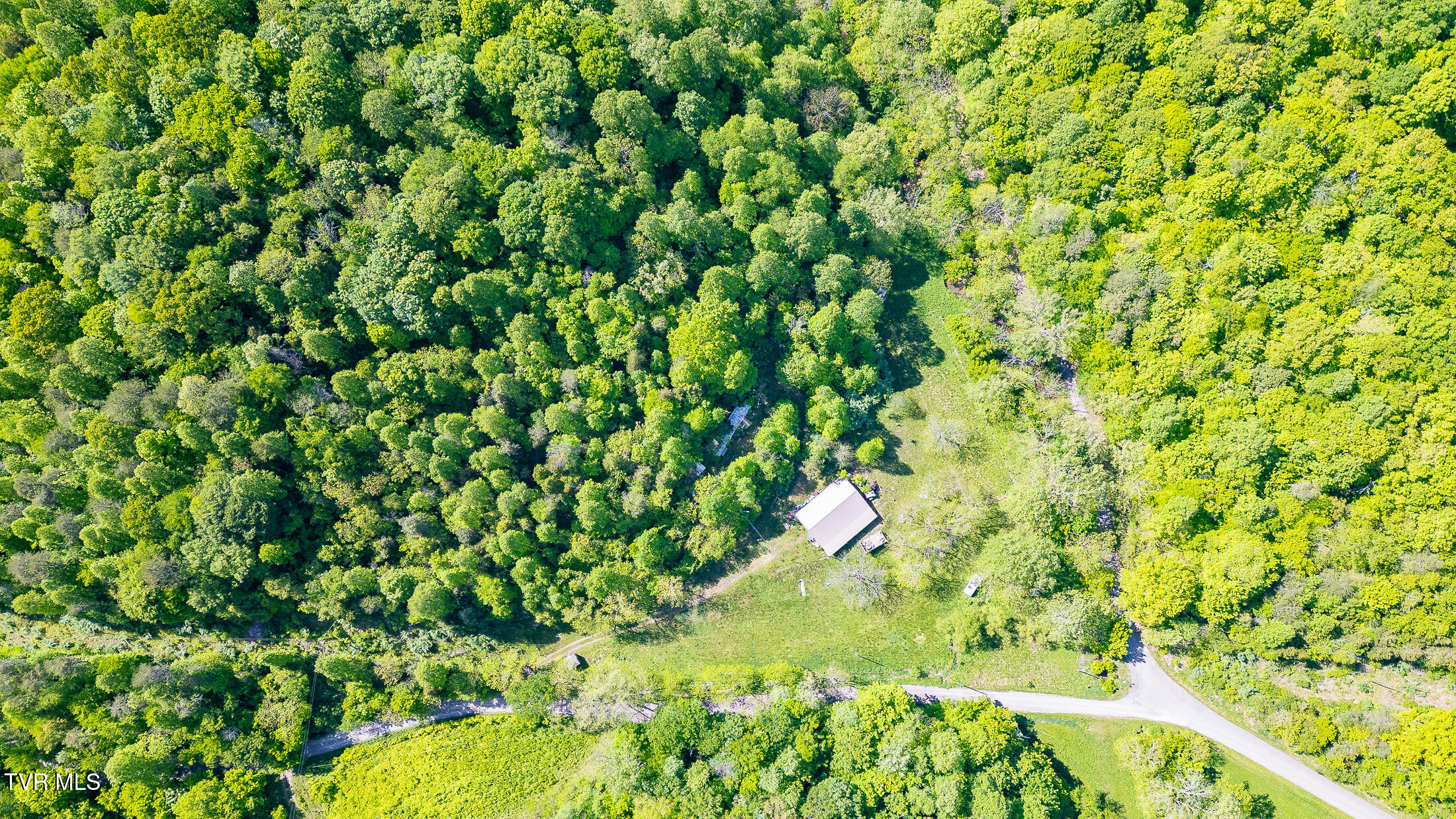 1668 Fowlers Br Road, Hiltons, Virginia image 15