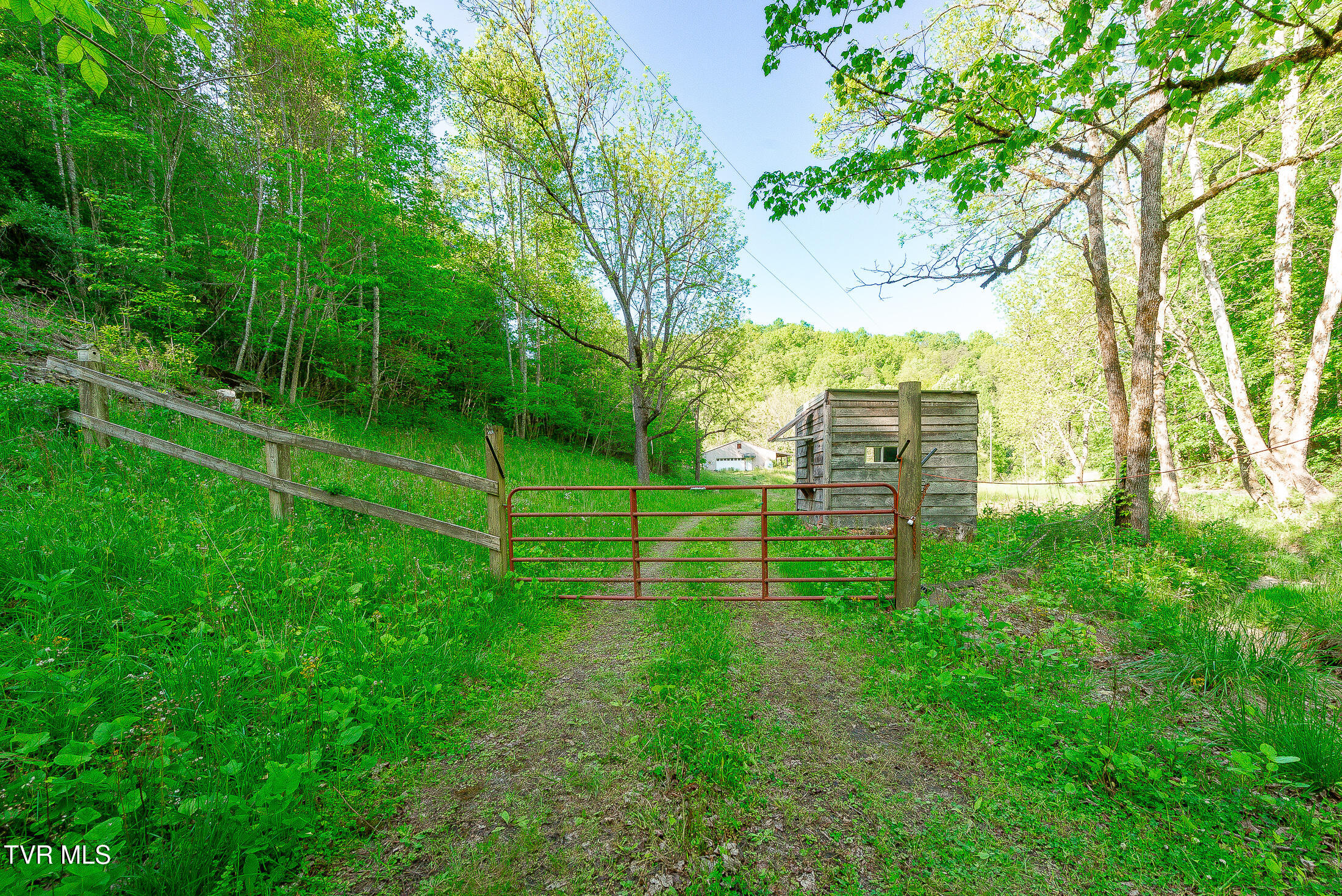 1668 Fowlers Br Road, Hiltons, Virginia image 5