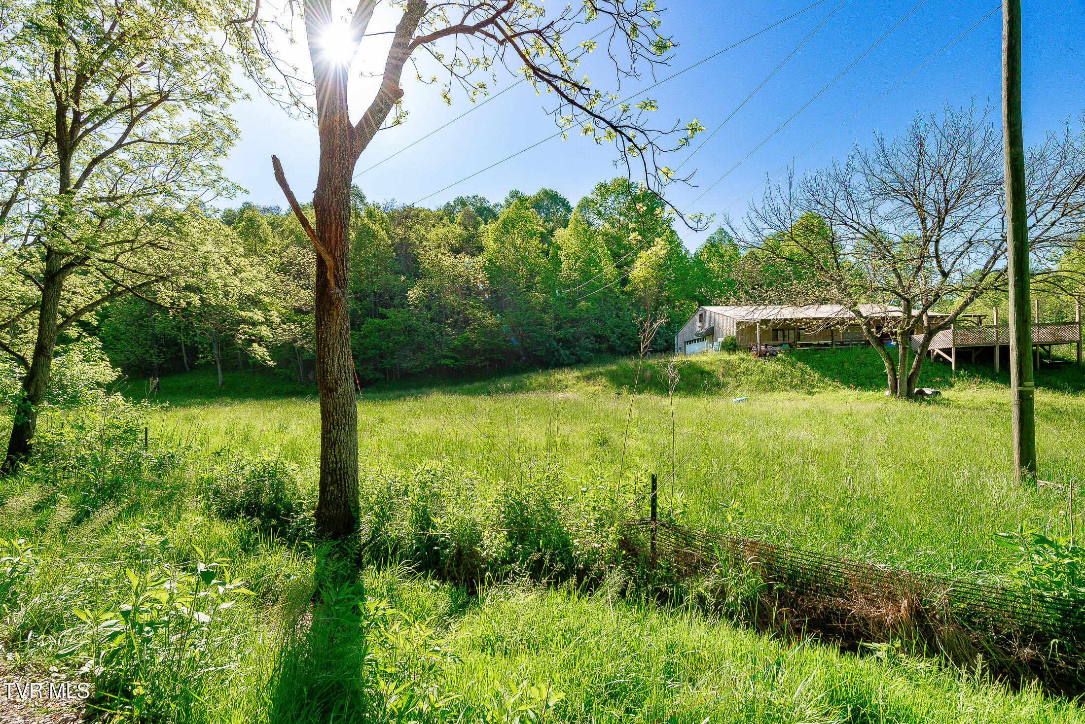 1668 Fowlers Br Road, Hiltons, Virginia image 3