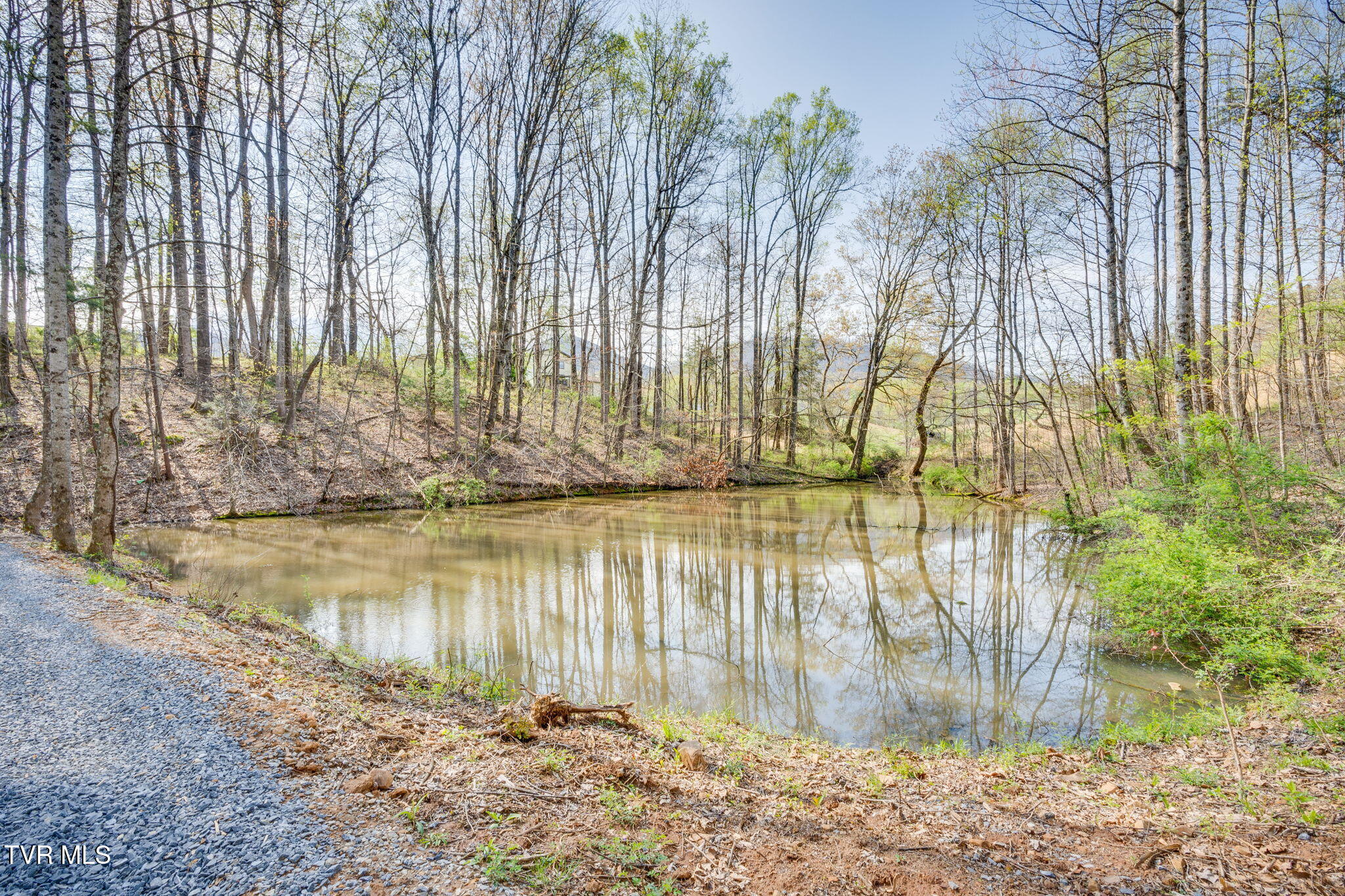 113 Tanner Drive, Elizabethton, Tennessee image 23
