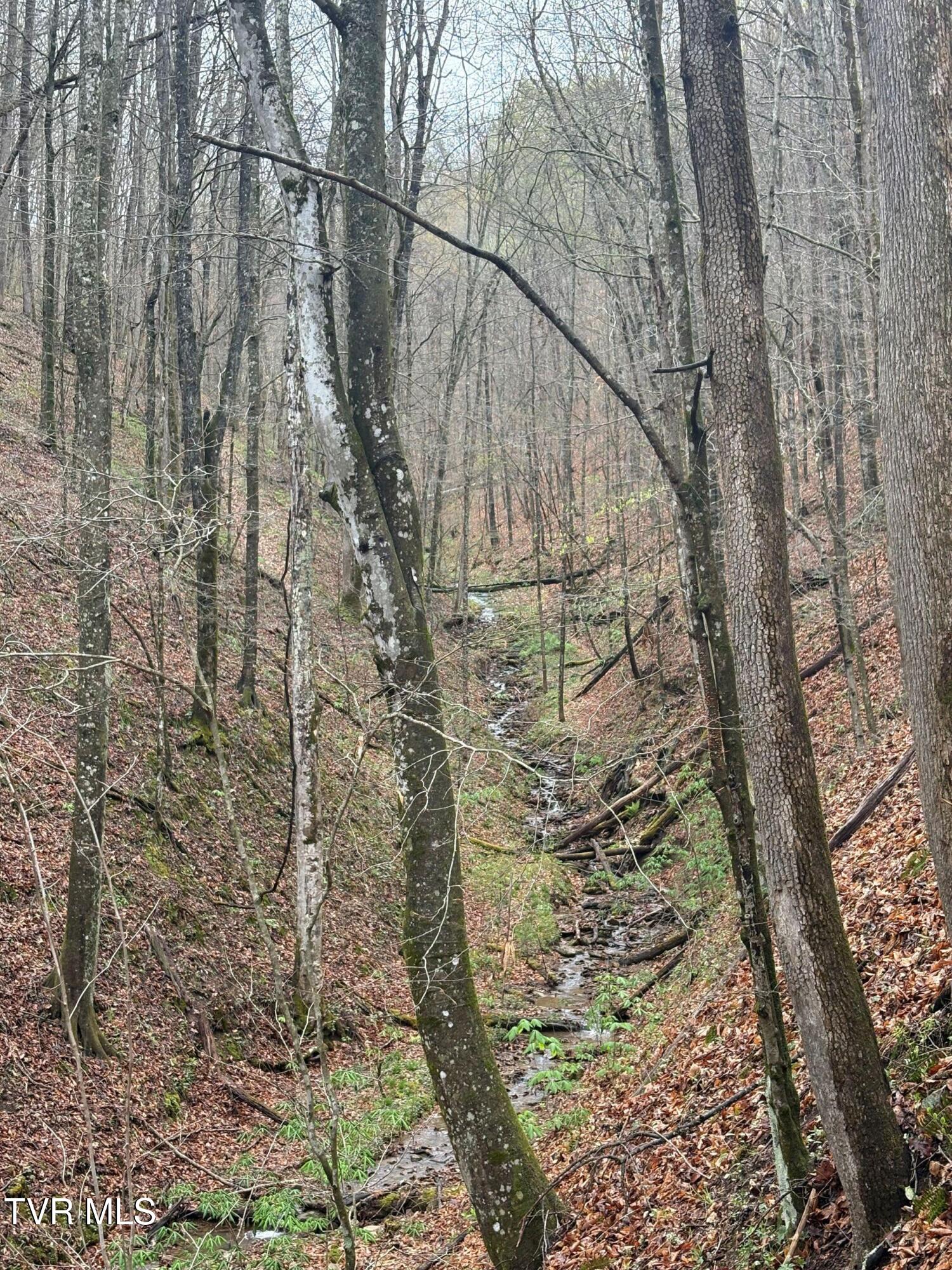 Wagoner Town Road, Saint Charles, Virginia image 3
