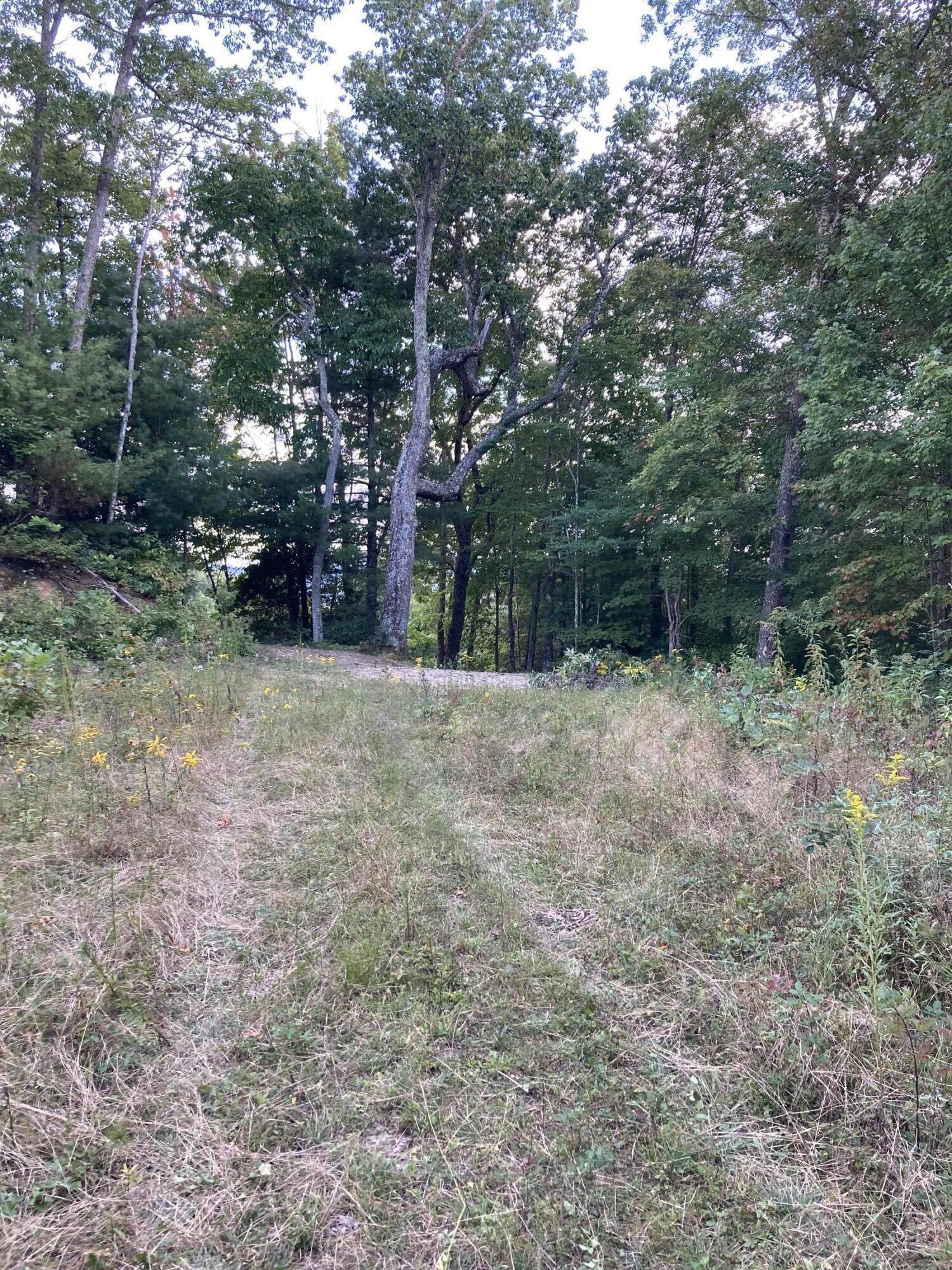 1209 Mays Ridge Road, Butler, Tennessee image 3