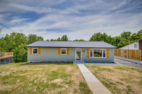 Photo of 309 Morelock Street, Kingsport, TN 37660 (MLS # 9995696)