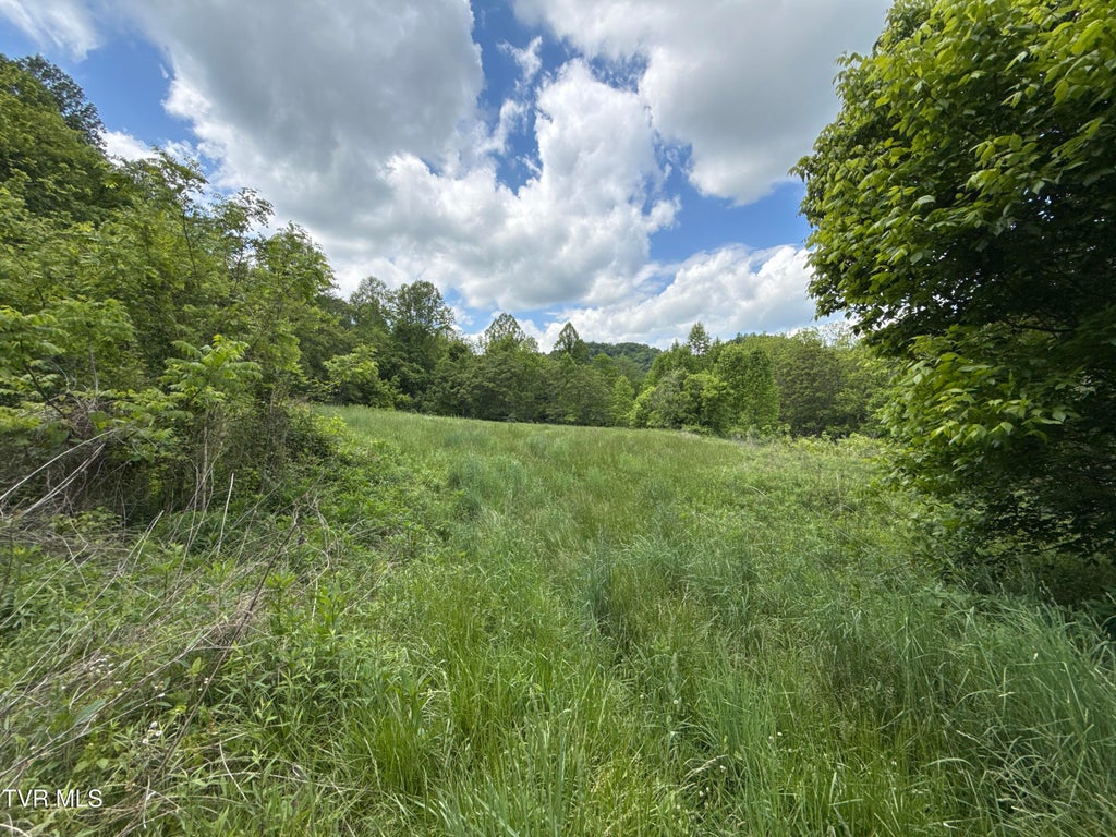 Photo of 429 Tbd Fisher Valley Road, Eidson, TN 37731 (MLS # 9998207)