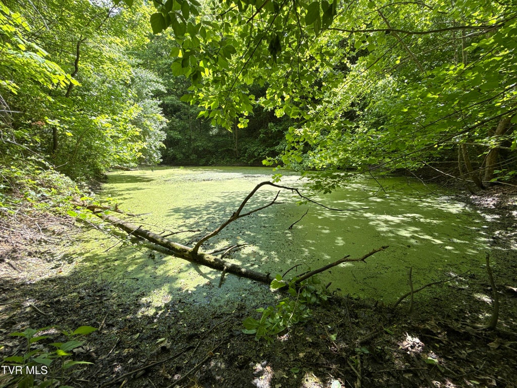 Photo of 429 Tbd Fisher Valley Road, Eidson, TN 37731 (MLS # 9998207)