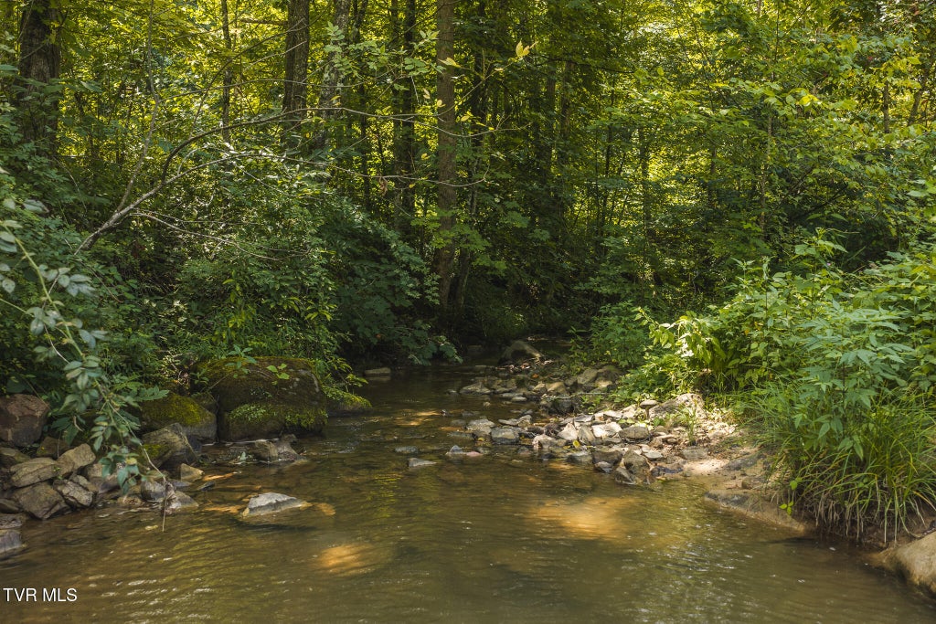 Photo of Tbd Snake Hollow Road, Sneedville, TN 37869 (MLS # 10001824)