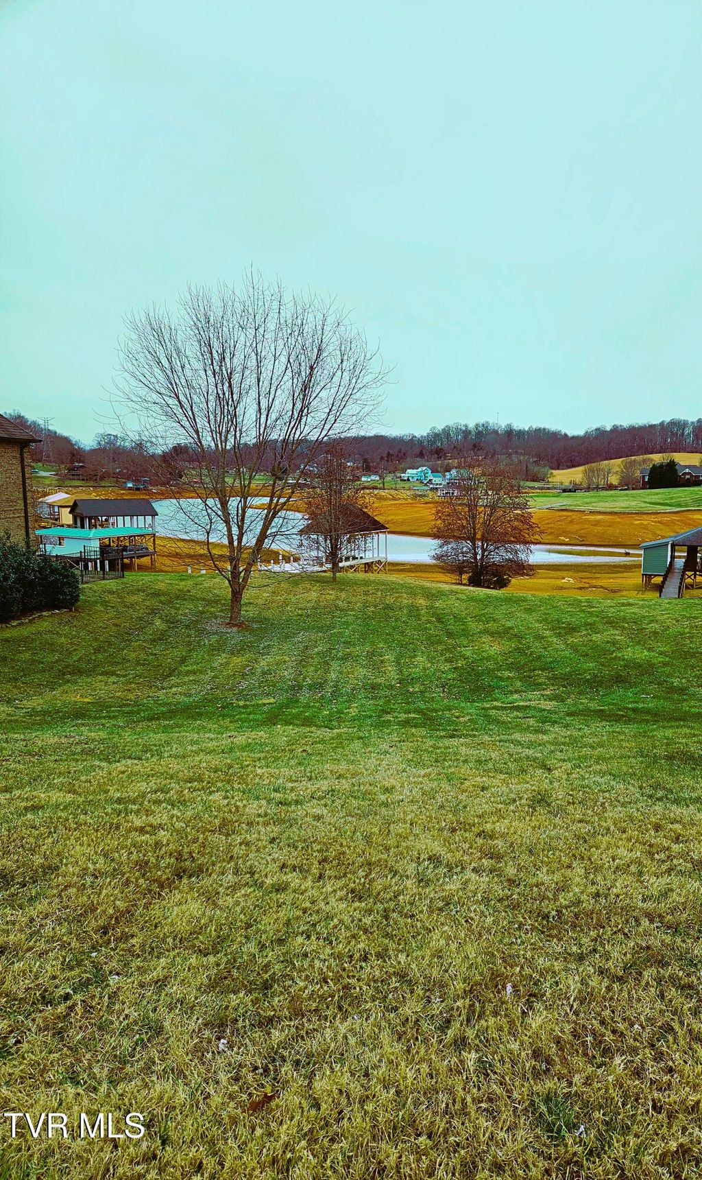 Photo of 208 Forest Ln N Ln, Blountville, TN 37617 (MLS # 9990557)