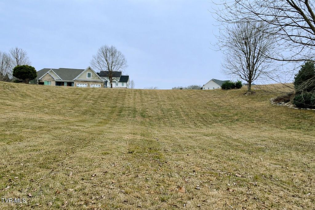 Photo of 208 Forest Ln N Ln, Blountville, TN 37617 (MLS # 9990557)