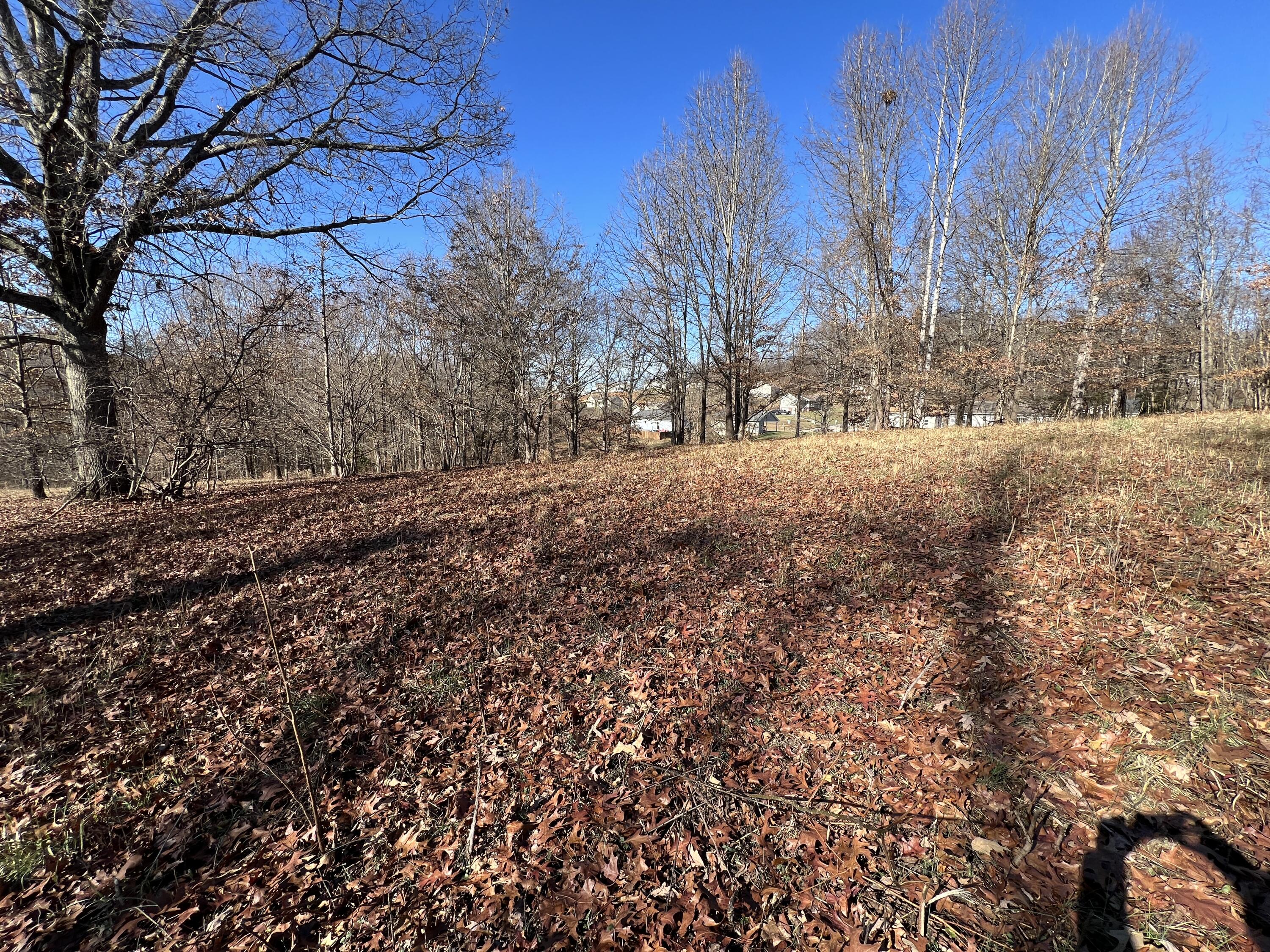 Granby Road, Kingsport, Tennessee image 18