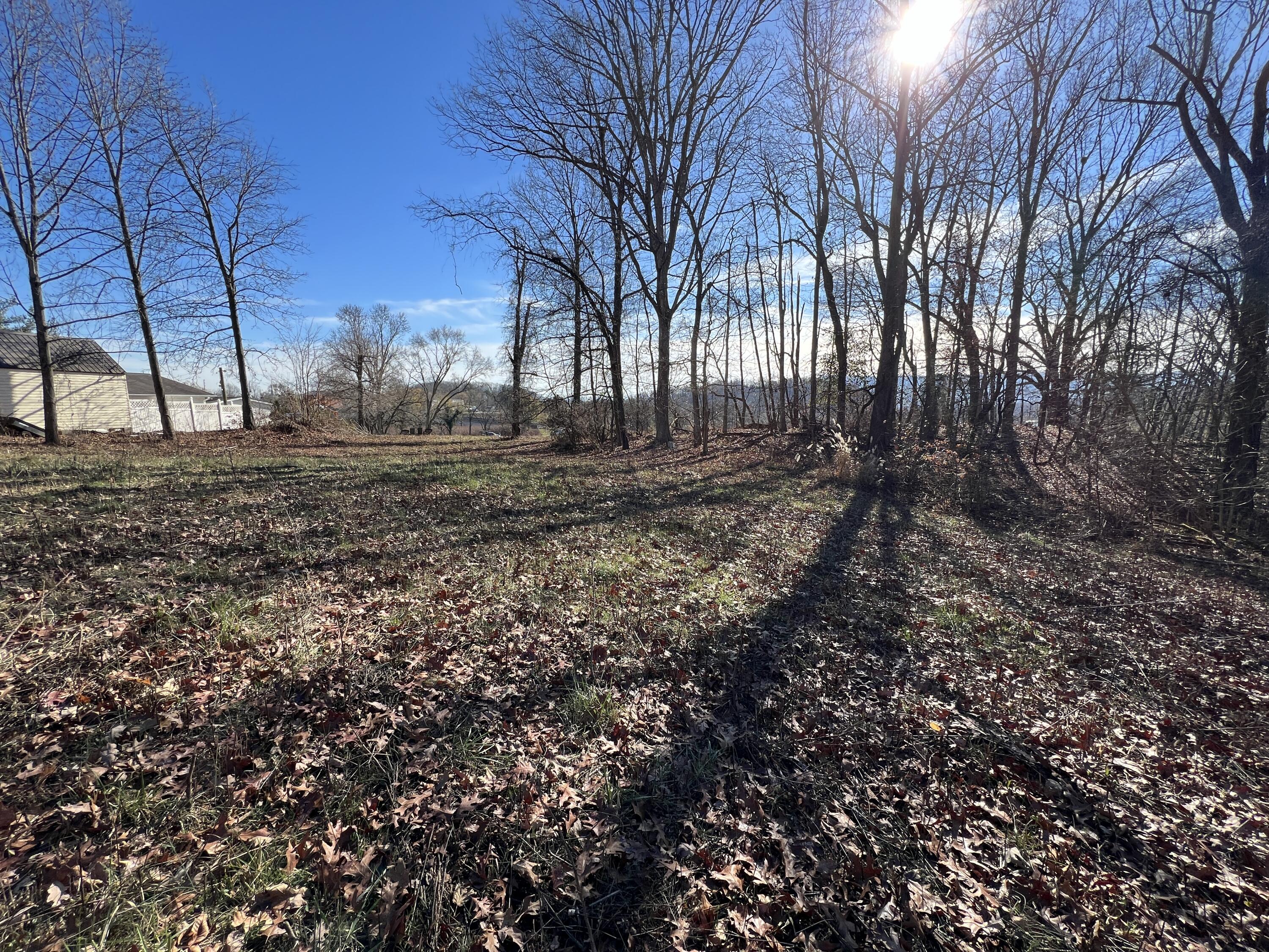 Granby Road, Kingsport, Tennessee image 14