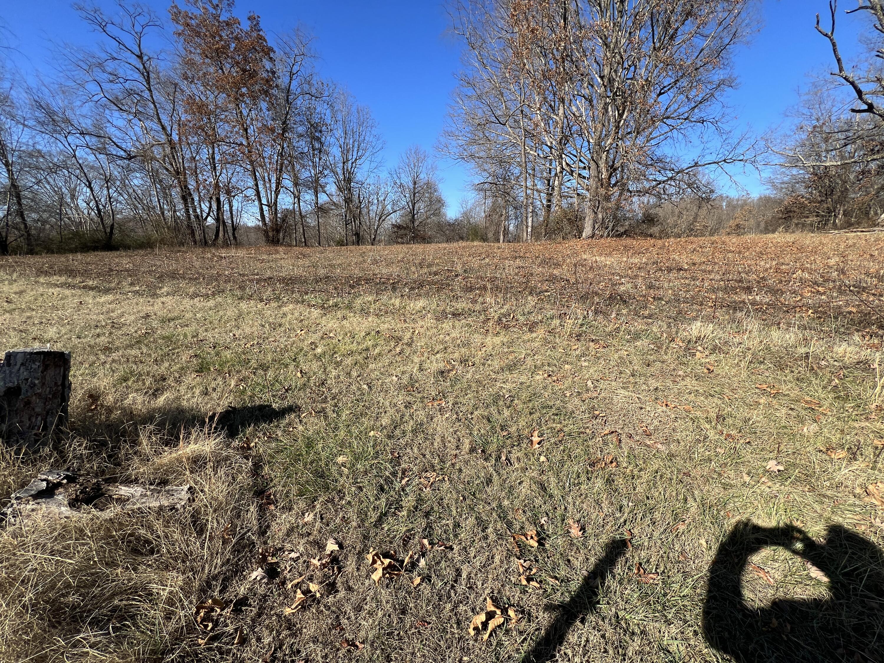 Granby Road, Kingsport, Tennessee image 13